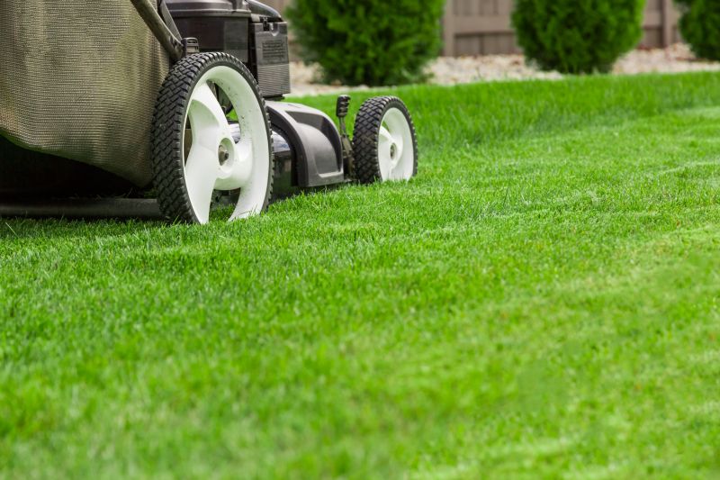 Lawn Cutting Service in Bowie, MD