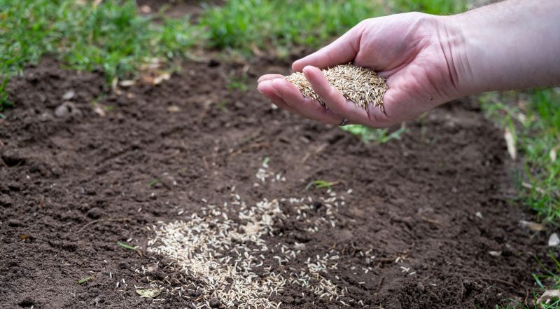 New Construction Lawn Seeding in Ventura County, CA