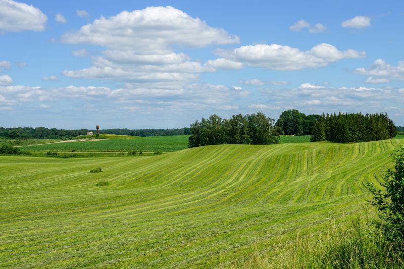 Pasture Mowing in Duluth, MN