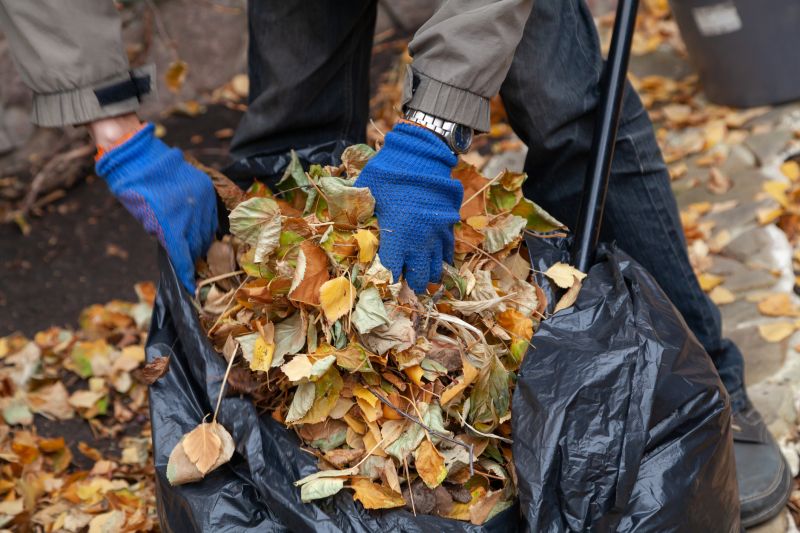 Autumn Leaf Removal in Honolulu, HI