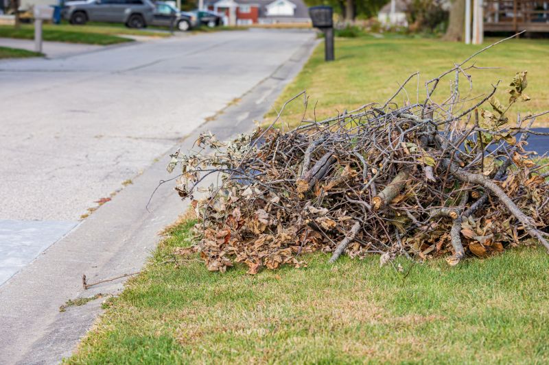 Brush Cleanup Service in Honolulu, HI