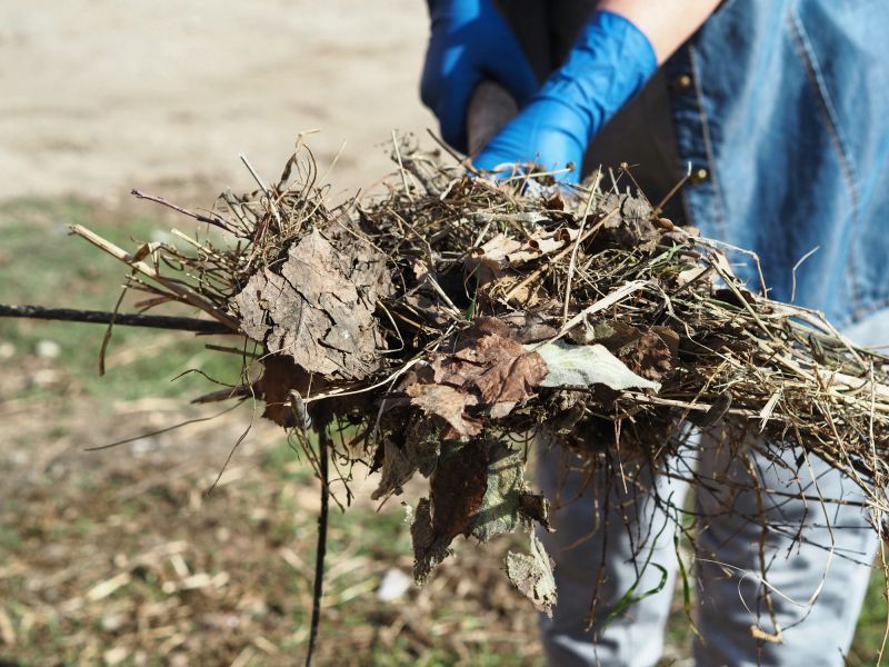 Brush Cleanup Service in Honolulu, HI