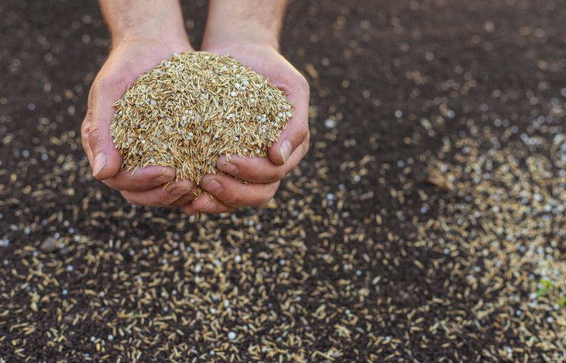 Commercial Grass Seeding in Ventura County, CA