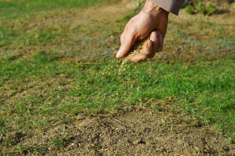 Fall Lawn Seeding in Honolulu, HI