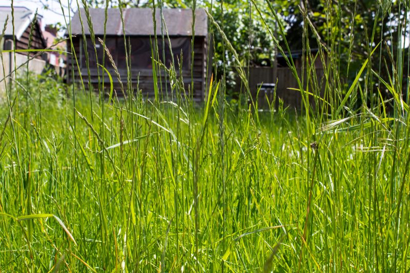 Tall Grass Mowing detail