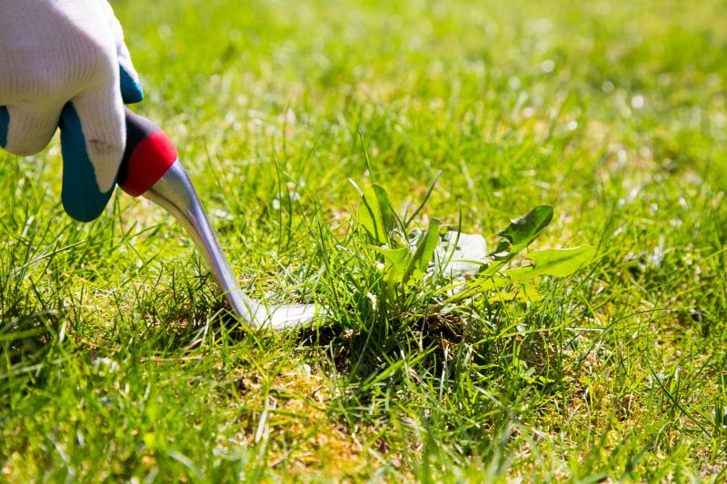 Garden Deweeding in Ventura County, CA