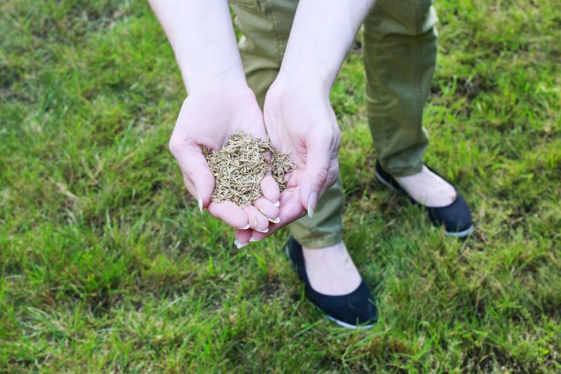 Grass Seeding Service in Ventura County, CA