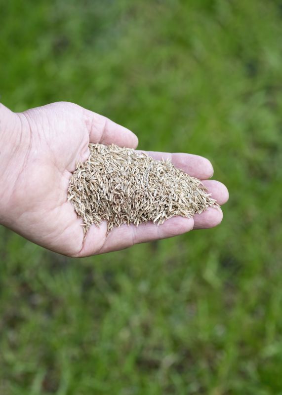Grass Seeding Service in Ventura County, CA