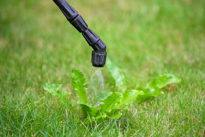 Lawn Weed Treatment in Aiken, SC