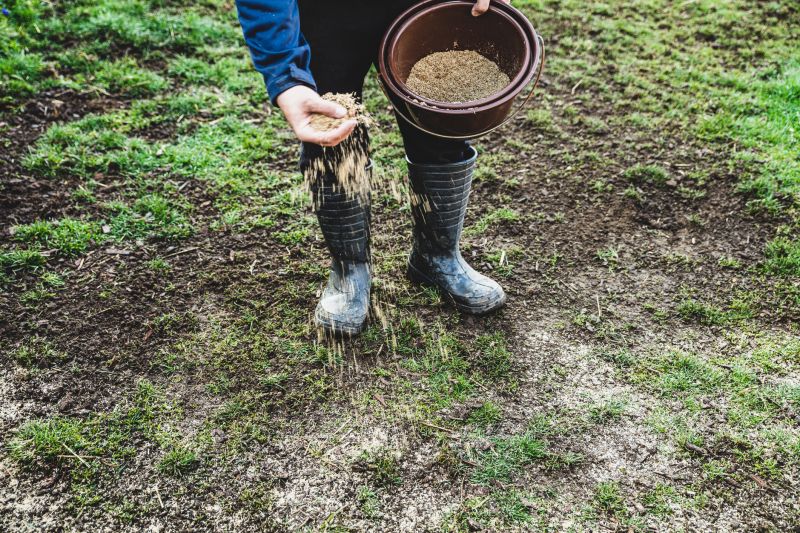 Reseeding Service in Honolulu, HI