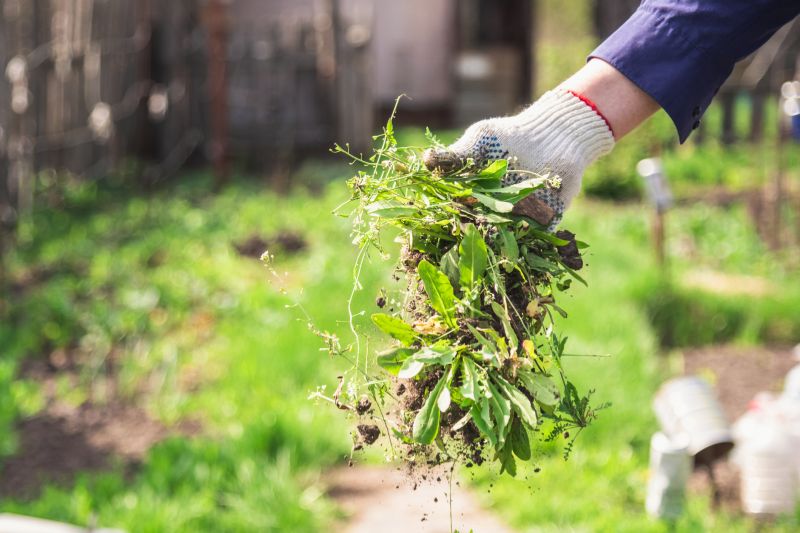 Rock Bed Weeding in Ventura County, CA