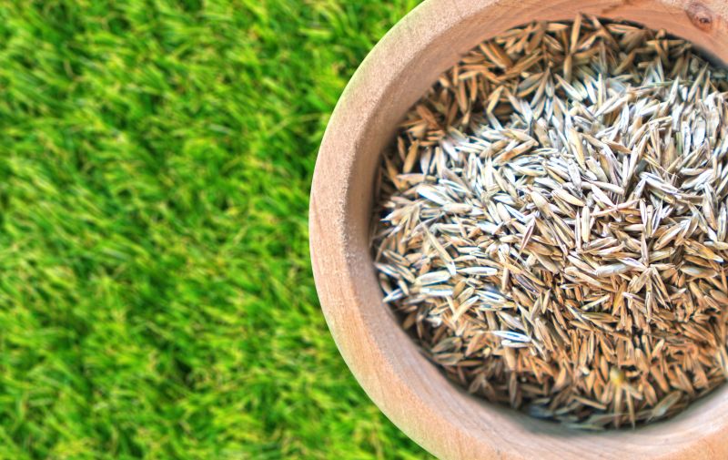Spring Grass Seeding in Honolulu, HI
