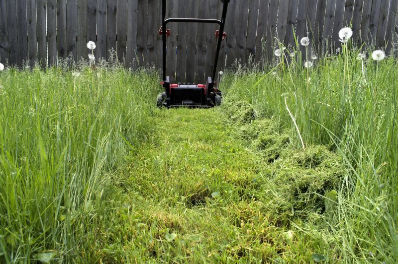 Tall Grass Cutting in Bowie, MD