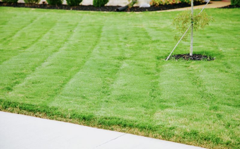 Tall Grass Cutting in Bowie, MD