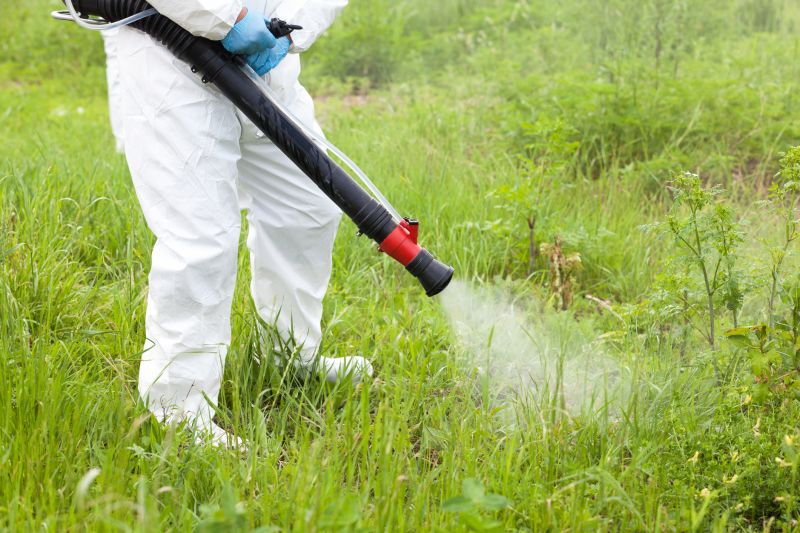 Thistle Treatment in Aiken, SC