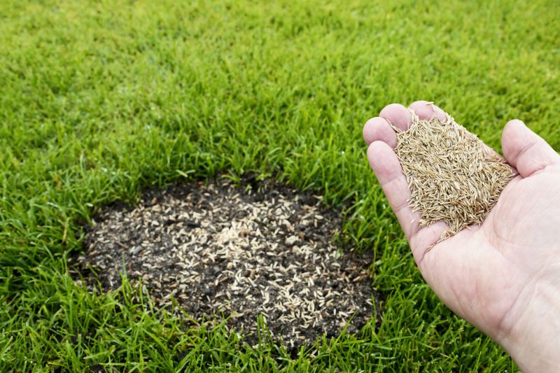 Turf Seeding in Honolulu, HI